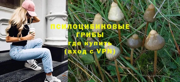 стафф Киреевск