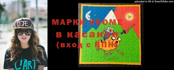 индика Киренск