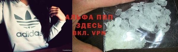 индика Киренск