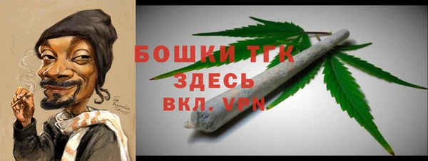 индика Киренск