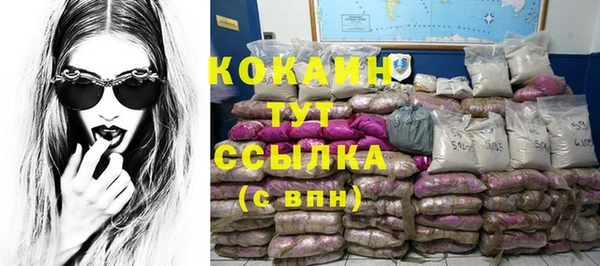 стафф Киреевск