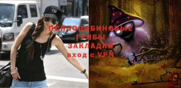 индика Киренск