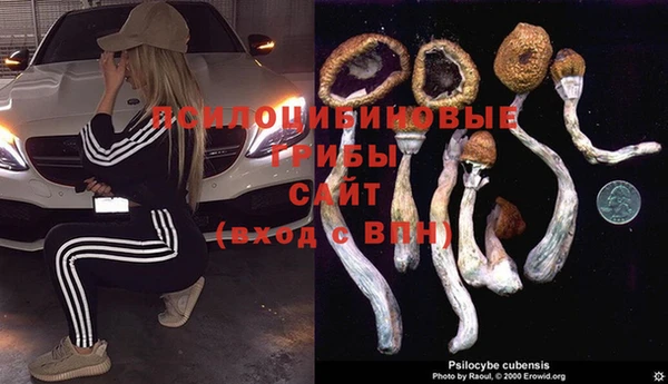 герыч Кинешма