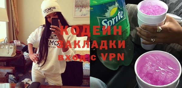 индика Киренск