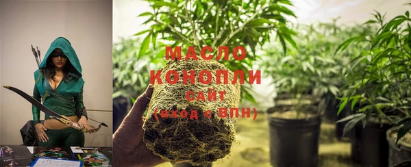 индика Киренск