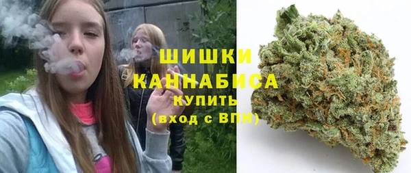 индика Киренск