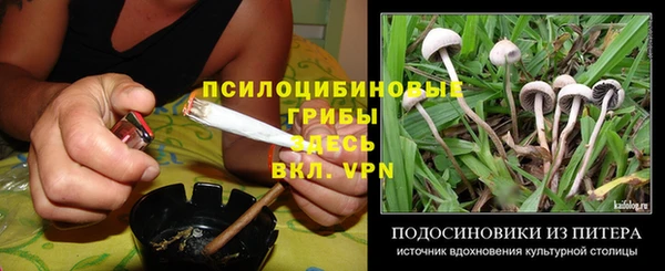 индика Киренск