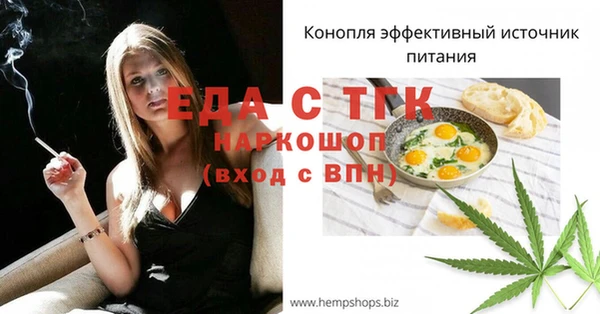 индика Киренск